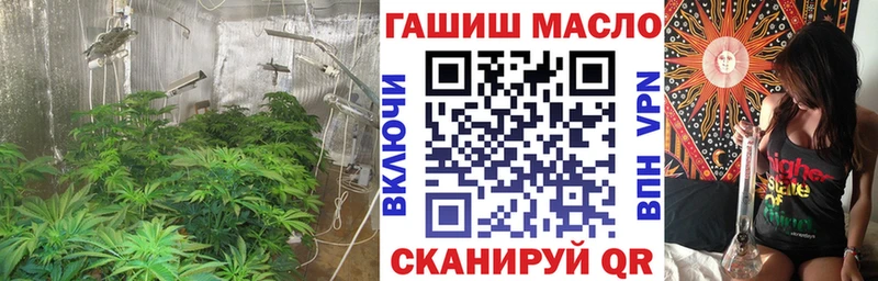 Купить закладки  Кемерово  ТГК гашишное масло 